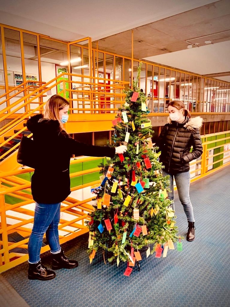 Ökumenische Weihnachtsbaumaktion